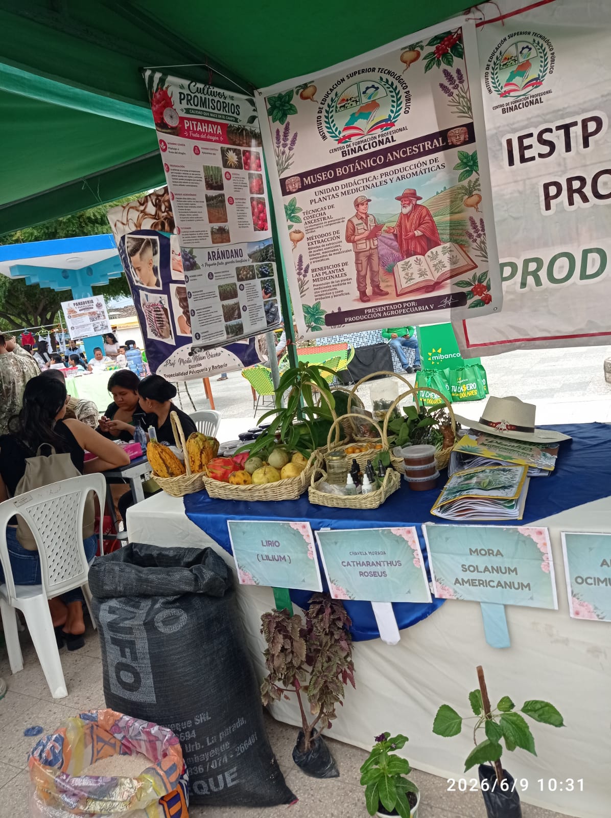 Pasantía académica en el CECASP