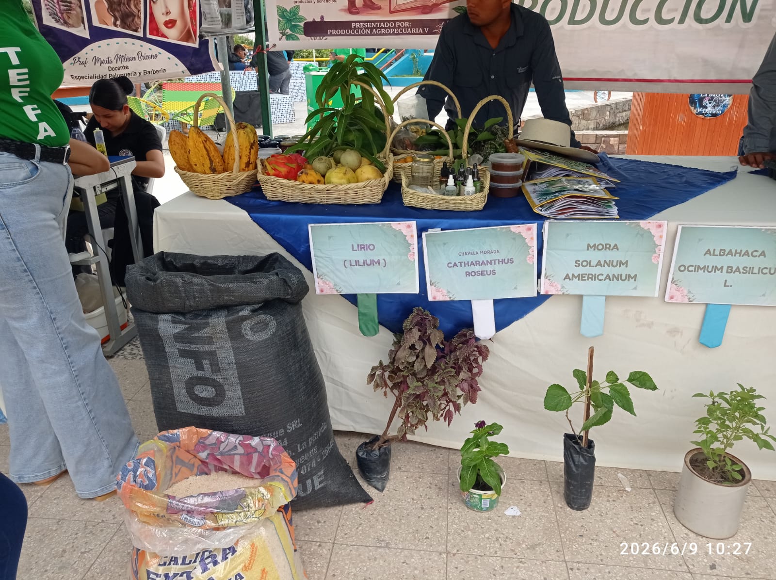 Pasantía académica en el CECASP