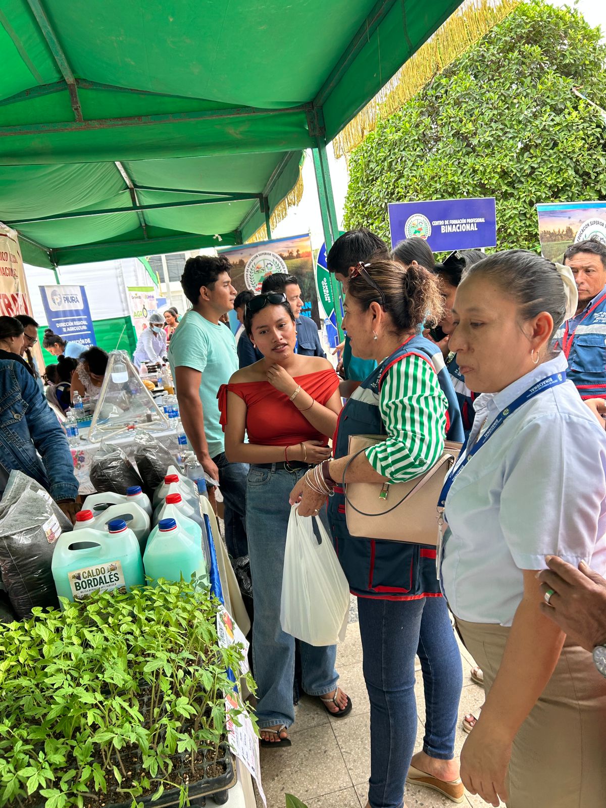 Pasantía académica en el CECASP