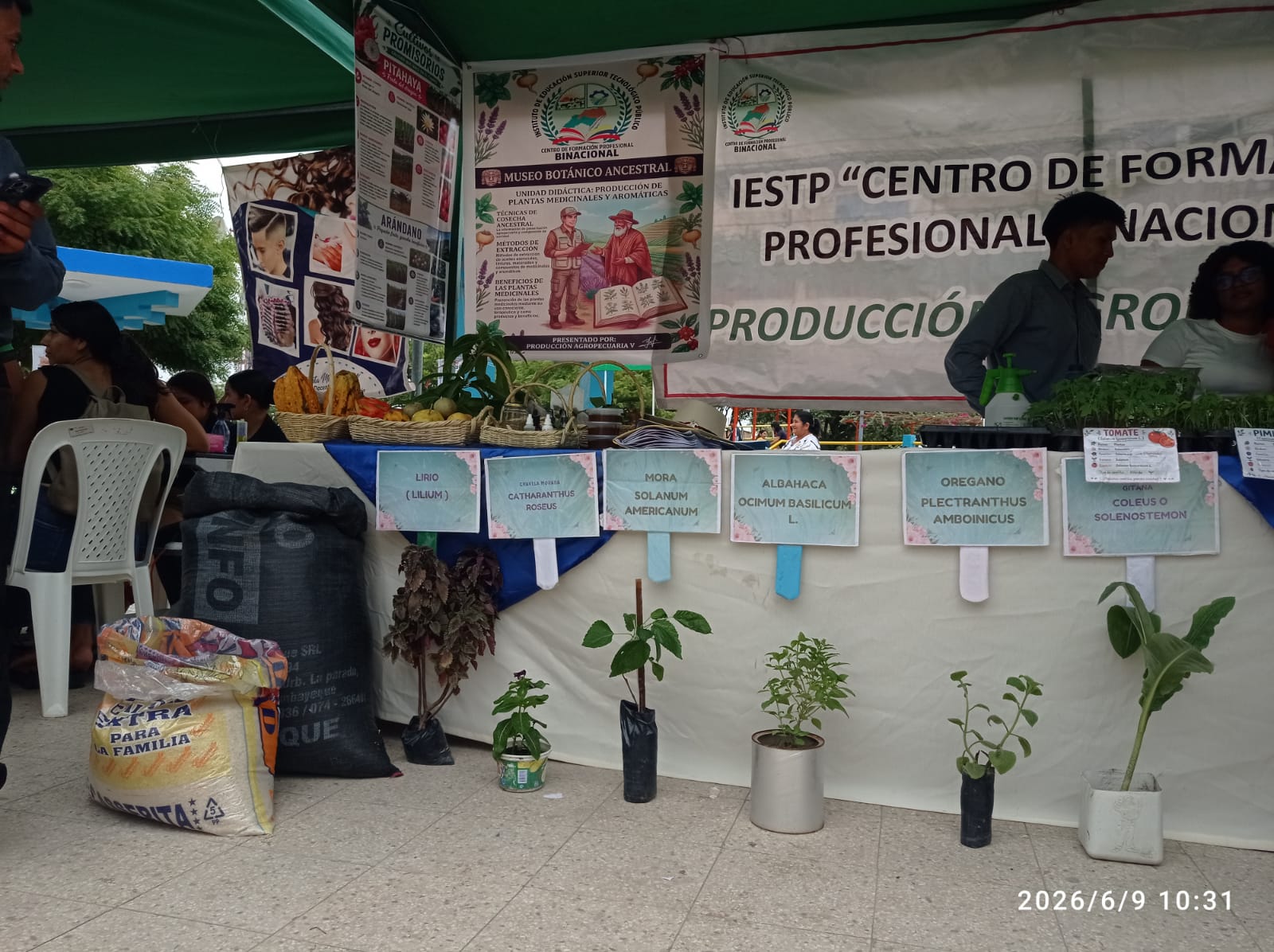 Pasantía académica en el CECASP